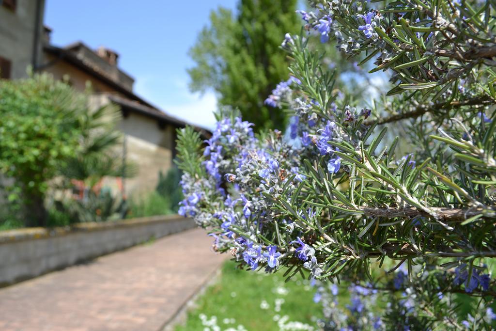 Agriturismo Alojamento de Turismo Rural Nestore