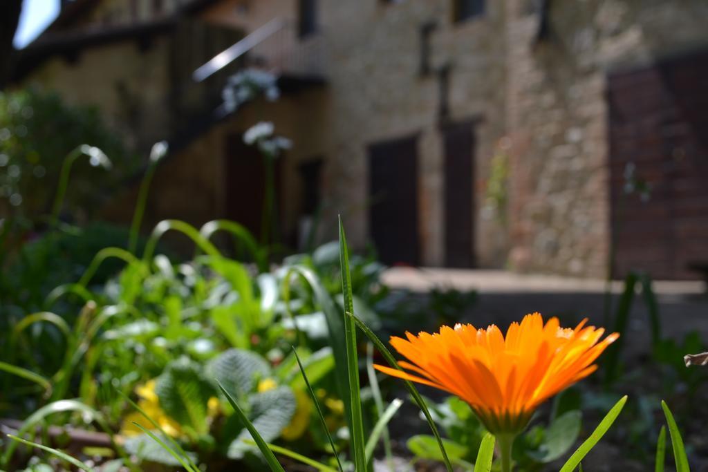 Agriturismo * Nestore