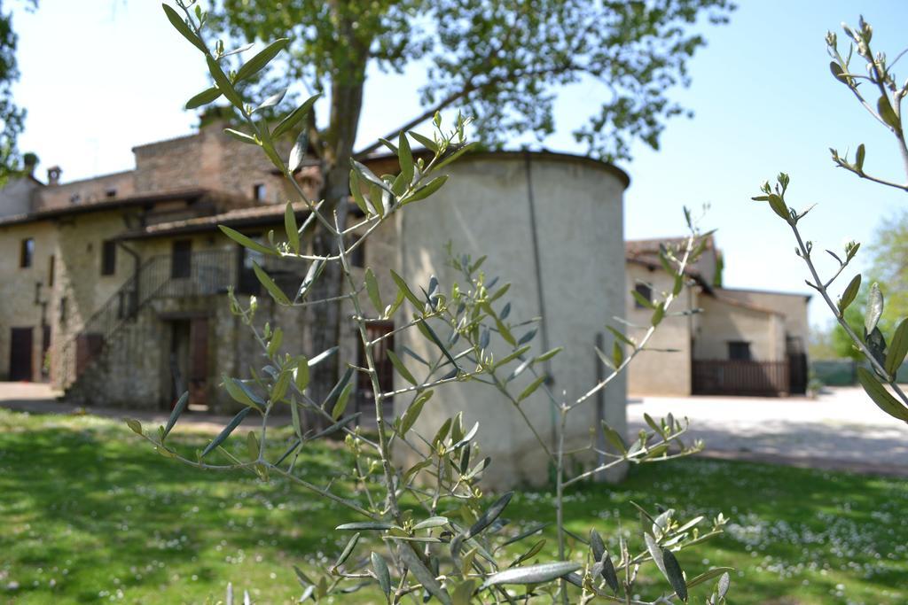 Alojamento de Turismo Rural Agriturismo