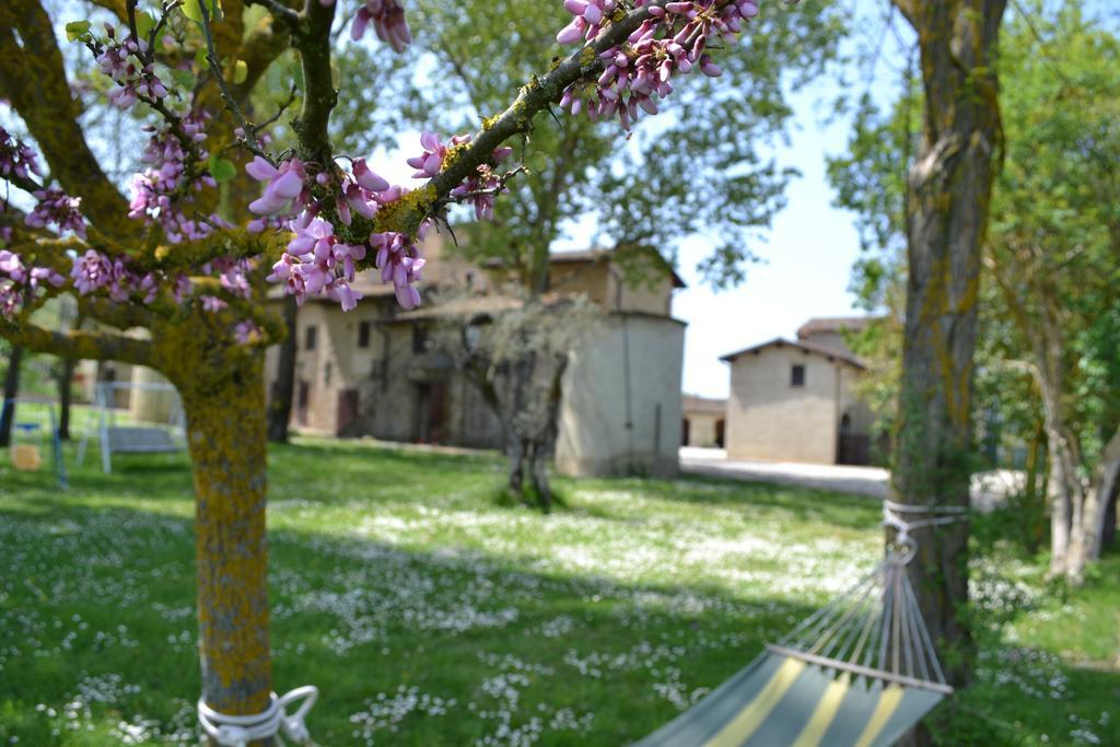Agriturismo Alojamento de Turismo Rural